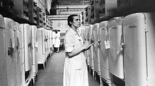 завод почав випускати холодильники, а з січня 1951 році приступив до виробництва велосипедів