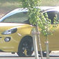 Фотошпигуни сфотографували Opel Adam без камуфляжу