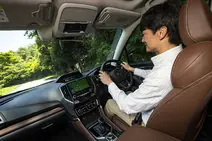 Drive Monitoring System передбачена тільки в комплектації Advance