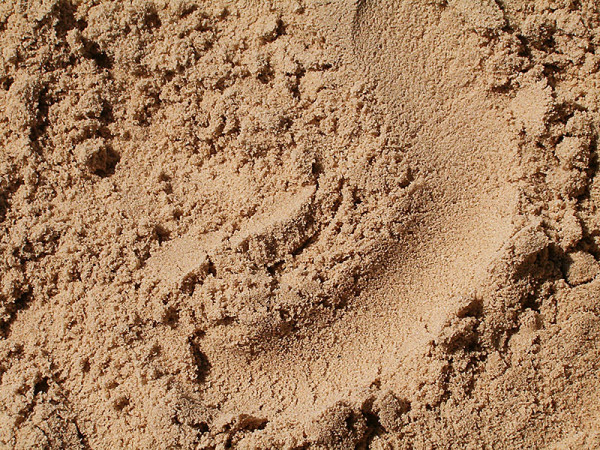 Для цього вологу деталь натирають піском до тих пір, поки сліди забруднень не зникнуть